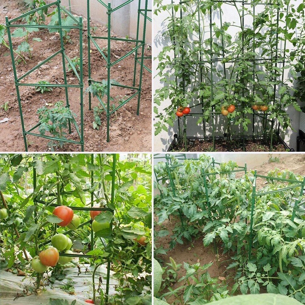 12/24 stk planter støtte stak stik have plante fix klip drivhus plast fast stik til blomster grøntsager tomater
