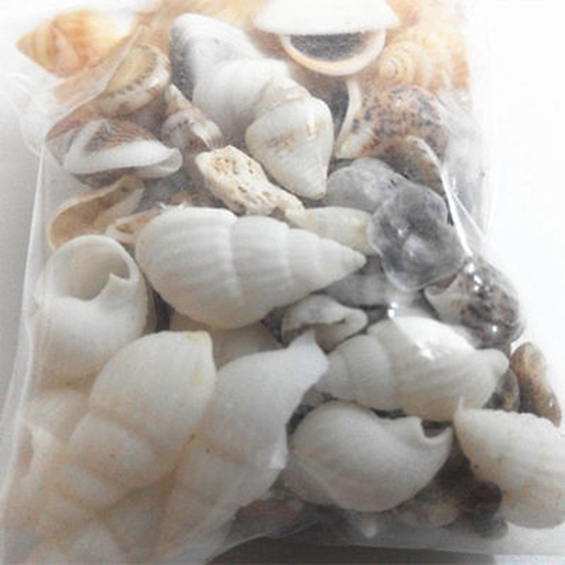 1 bolsa de conchas de mar surtidas mezcladas, pequeñas conchas de mar reales, bricolaje, decoración del hogar, artesanía náutica