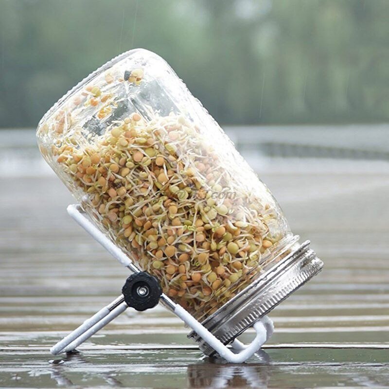 Groddburk med 304 skärmlock av rostfritt stål bred mun kvarts mason sprouter groddare för ekologisk alfalfa böna