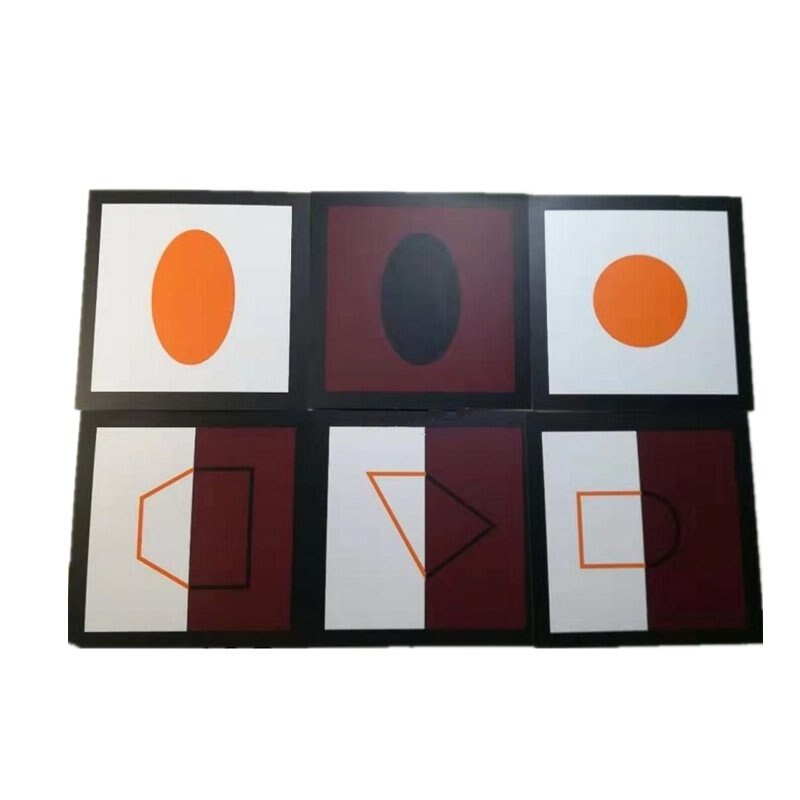 1 Set Carl's Cards Carl Training Cards for Vision Inhibition Visual Memory Identification