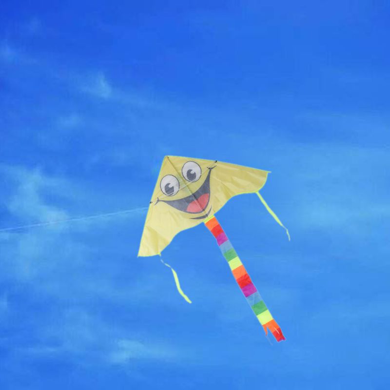 Cartoon Smiling Face flying kite for children Outd... – Grandado