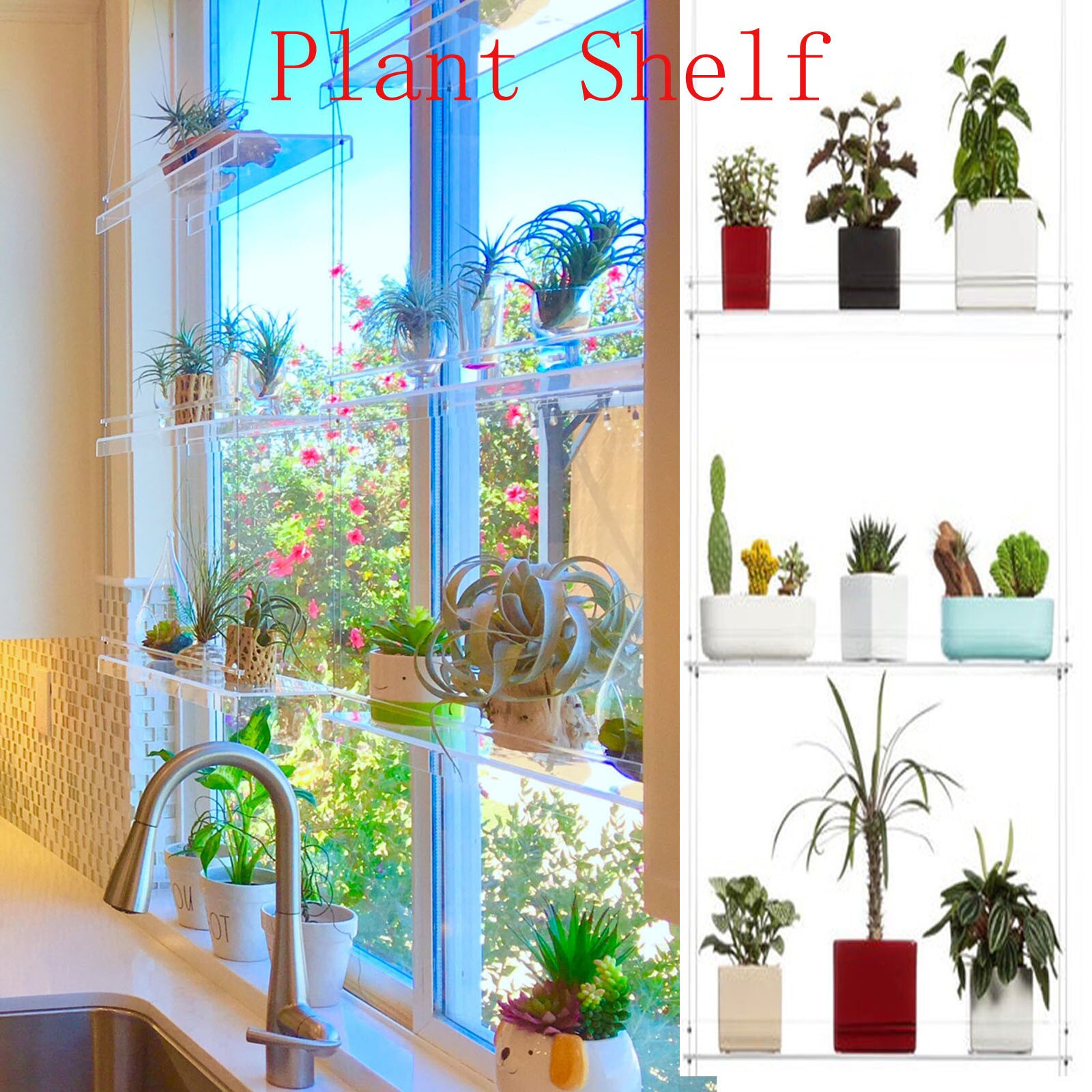 3 Lagen Plank Voor Planten Raam Badkamer Keuken Venster Fabriek Plank Opknoping Plank Plant Planken Plant Stand Indoor Tuin Decor