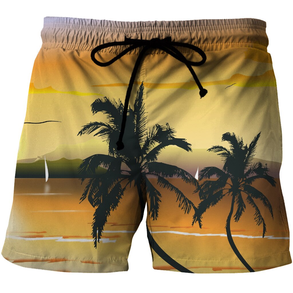 Pantalones cortos holgados de playa para hombre, Shorts de secado rápido para tabla de Surf, bañadores de Surf de S-6XL, ropa de playa de gran tamaño para deportes acuáticos: TYSTK-LD00024 / S