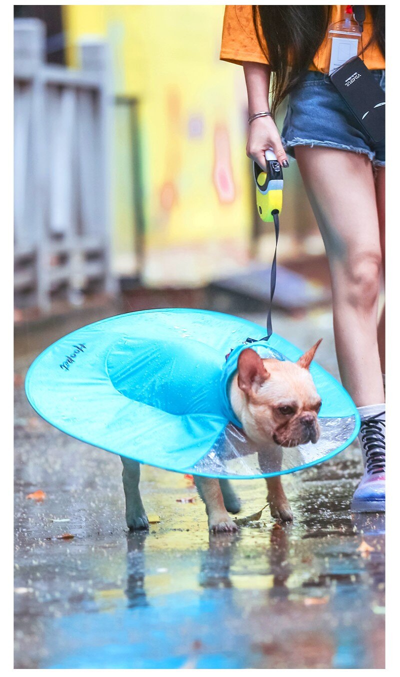 Neue Haustier Hund transparent Regenmantel UFO Hund Regenmantel Haustier Regenmantel Hund Kleidung