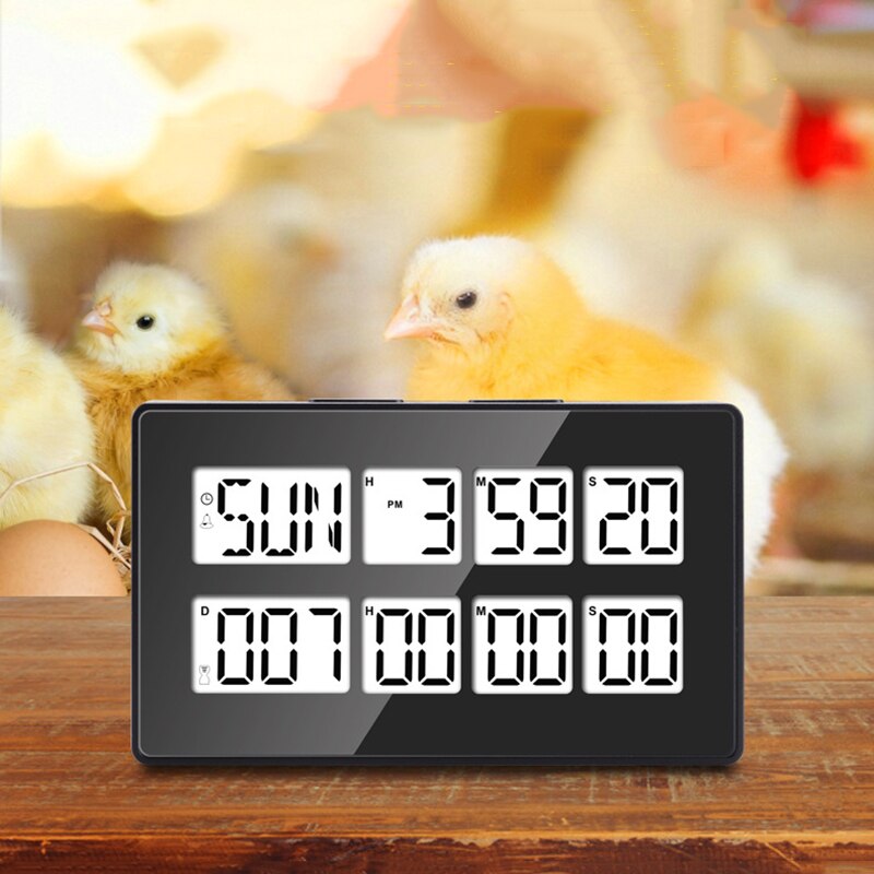 Dual-channel Timer Countdown Timer Snooze Alarm Clock Calendar Cooking Time Reminder Stopwatch