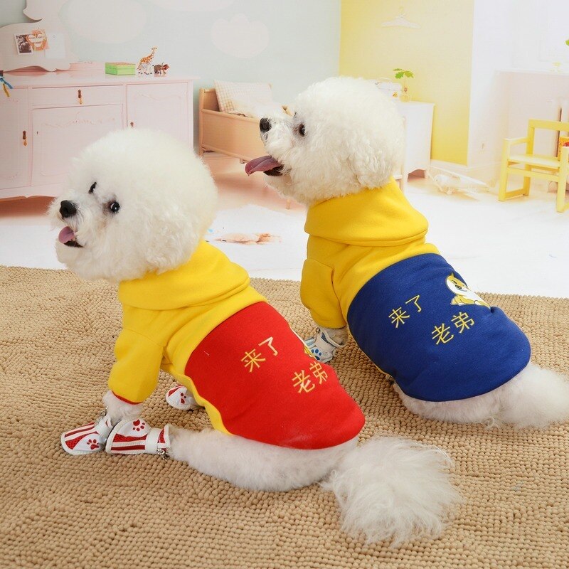 Moda roupas para cães de inverno quente cães hoodies de duas pernas mais grosso engraçado carta outfits imprimir pequeno filhote de cachorro vermelho menina ropa para perro