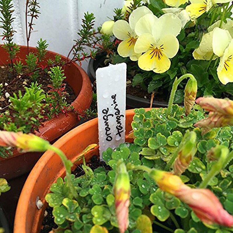 Etiquetas de PVC de 100 piezas para plantas de jardín, etiquetas brillantes para macetas de flores, marcadores de vivero, herramientas de marcado de bandeja, accesorios de jardín