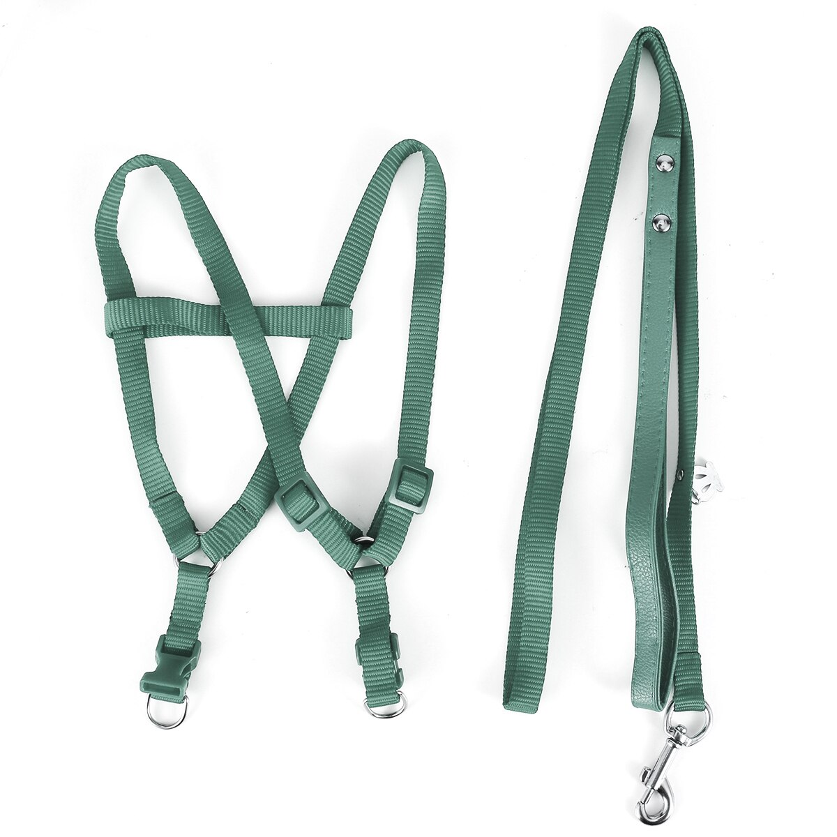 Parrot Leash 8-Shape Harness Adjustable Bird Leash Suitable For Scarlet Macaw, Sun Conure, Cockatiel Parrot: Green / L