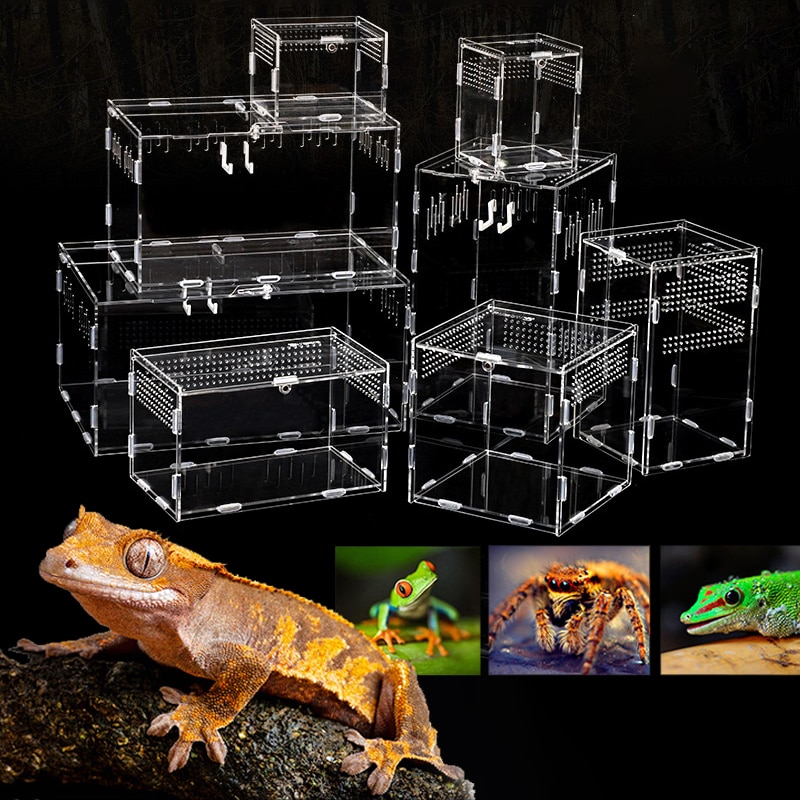 Acryl Reptiel Fokkerij Doos Transparant Spider Hagedis Schorpioen Enti &#39;S Acryl Gemonteerd Insect Ademend Terrarium