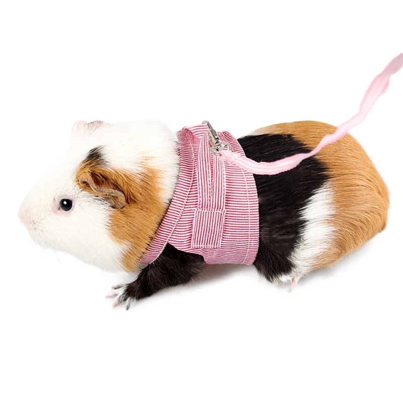 Hamster Leine nutzbar machen Kleine Ebene nutzbar machen Für Guinea Schweine Eichhörnchen Einstellbare gestreift Baumwolle Haustier Kleidung Hamster Zubehör