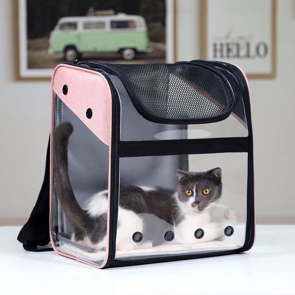 Airline Goedgekeurd Volledig Geventileerde Mesh Pet Carrier Rugzak Voor Honden En Katten Honden Voor Reizen, Wandelen, wandelen En Outdoor Gebruik