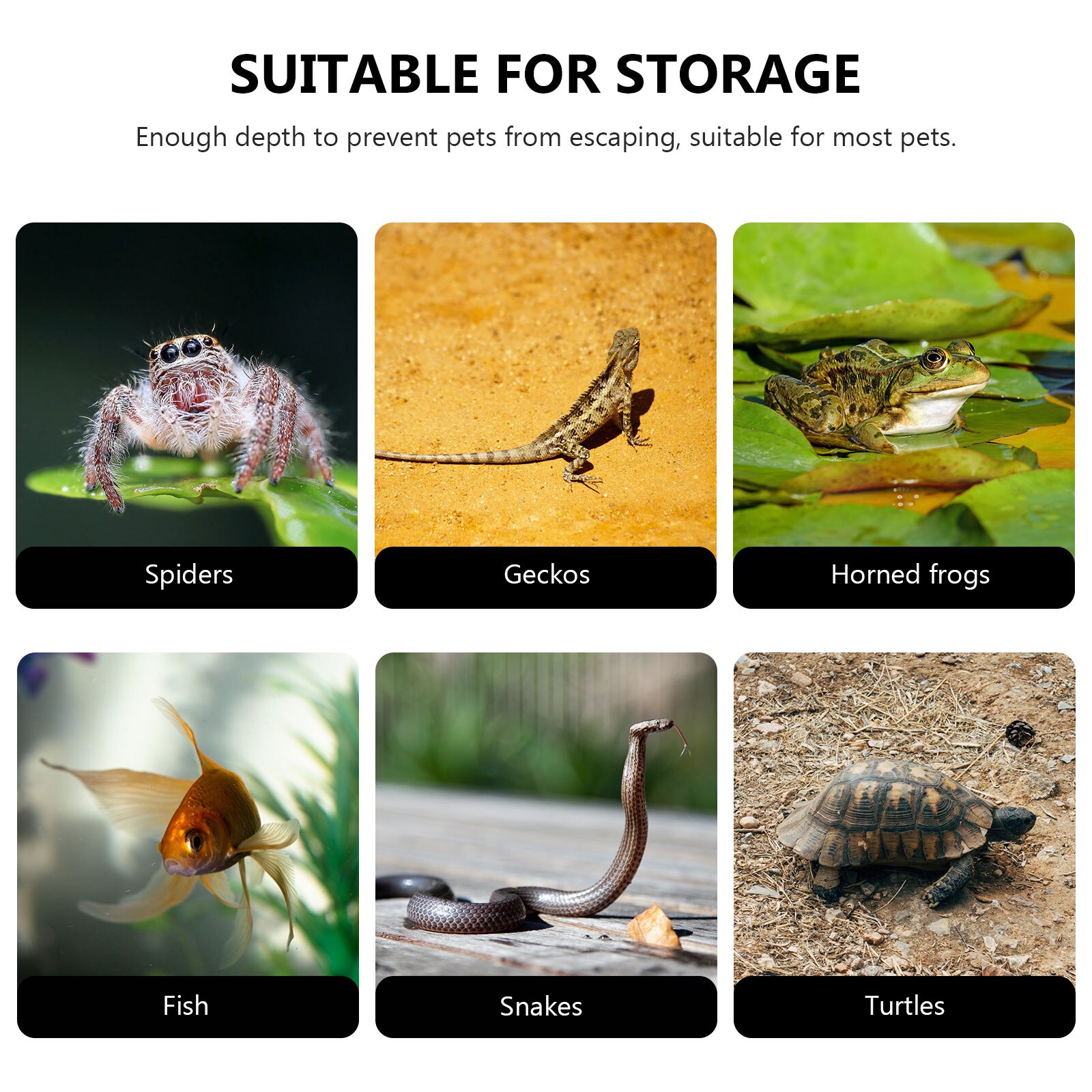 Household Tortoise Tank Semi-transparent Turtle Cage Plastic Reptile Tank Reptile Accessory