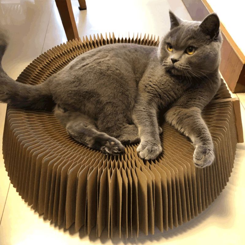 Golfkarton Cat Scratcher Lounge Bed Slaapbank Met Catnip Voor Kitten