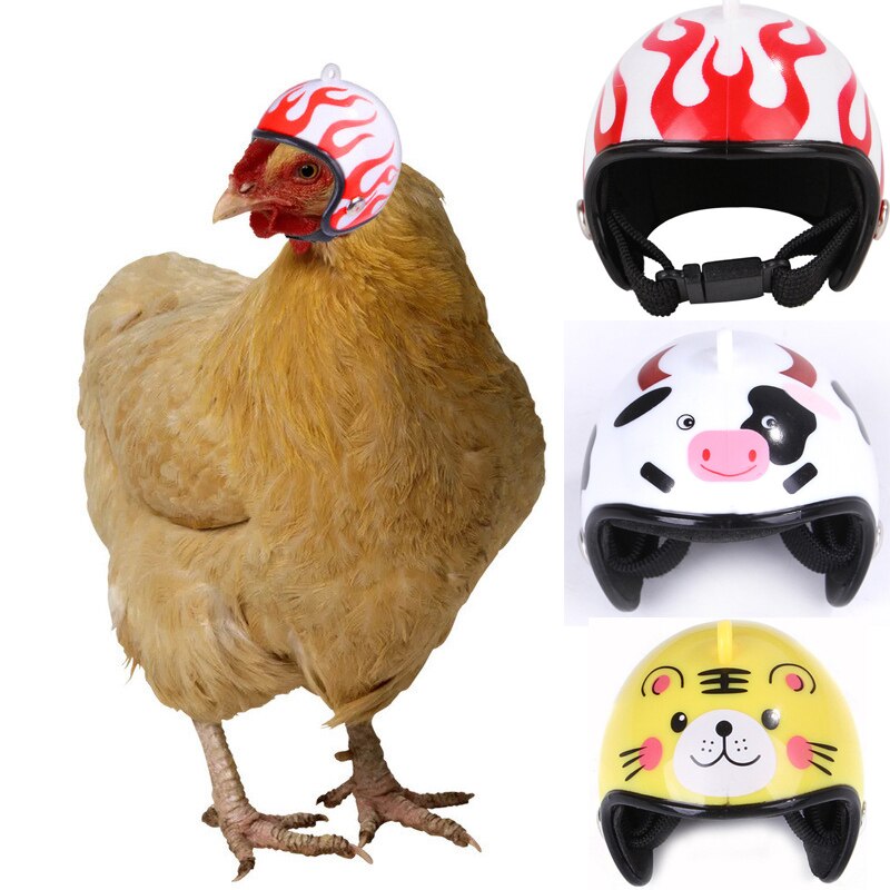 Pet Helm Kip Helm Kleine Huisdier Harde Hoed Vogel Eend Kwartel Hoed Hoofddeksel Huisdier Vogel Hoofd Leger Helm Kleine dier Benodigdheden