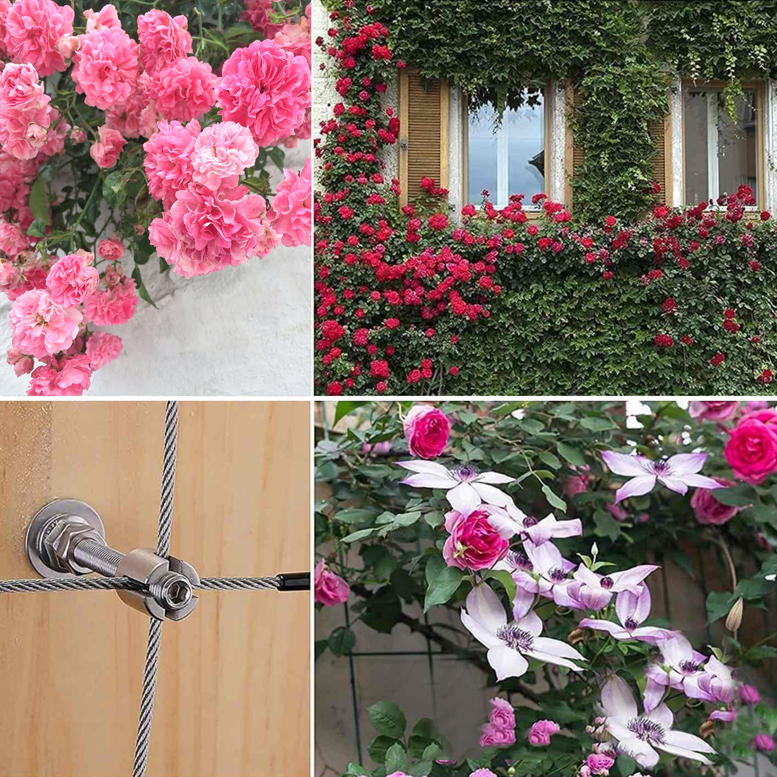 37pcs Stainless Steel Trellis For Climbing Plants System Complete Set for Wire Rope Cable Garden Vines Green Walls