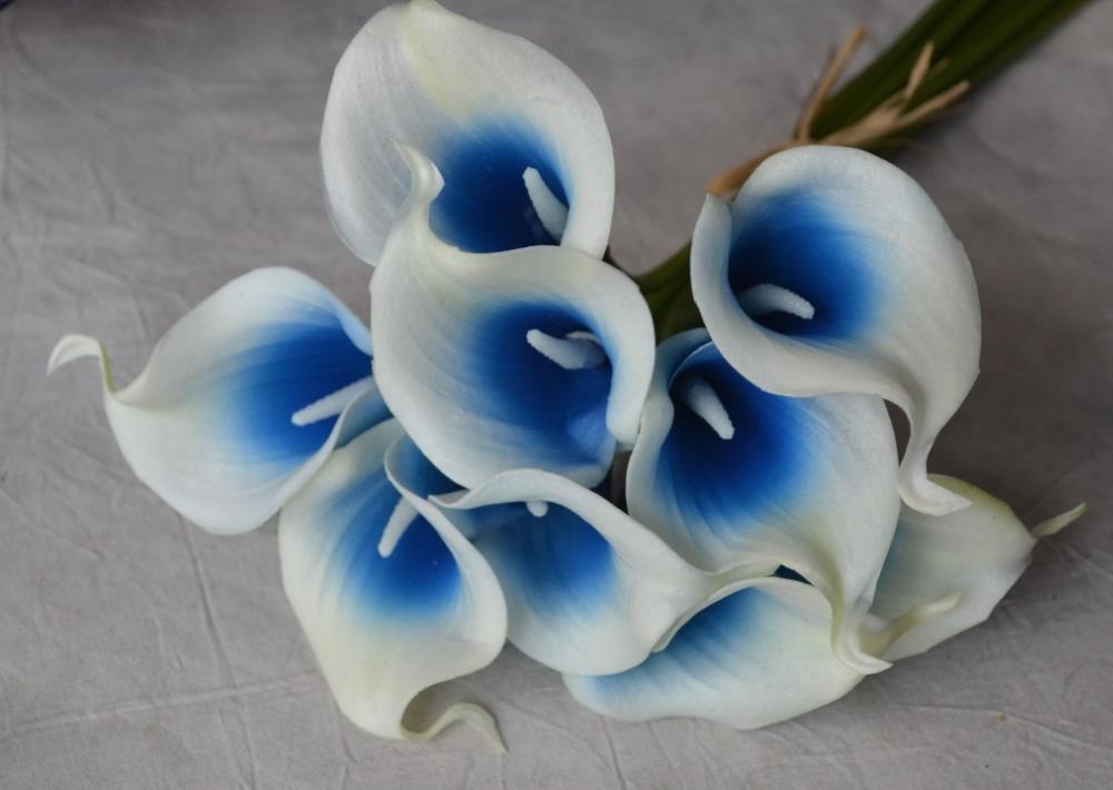 Calla Lilies Natural Real Touch Flowers Picasso Purple White Calla Lily For Wedding Bouquets Centerpieces: royal blue picasso
