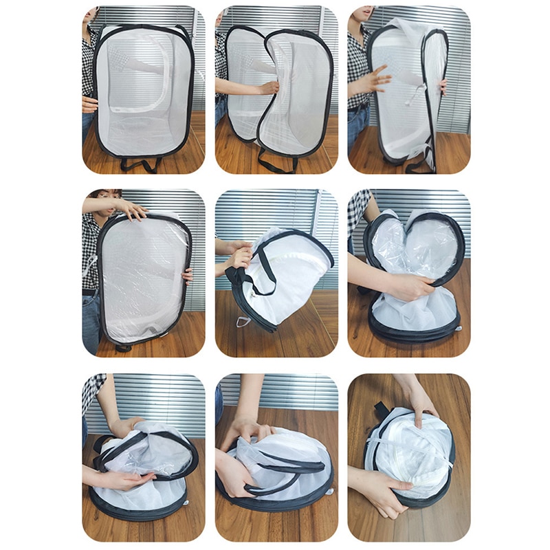 Klatki hodowlane szmatka z siateczki modląc się modliszka kij owad motyl klatka obudowa obudowa