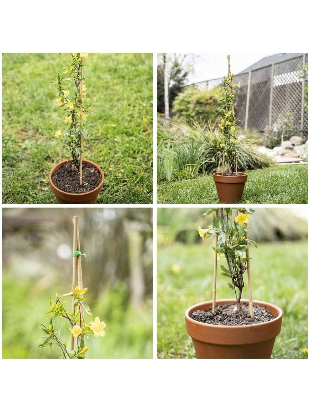 Piquets en bois de jardin en bambou, plantes en bambou écologiques, piquets en bois, plantes grimpantes, bâtons en bambou