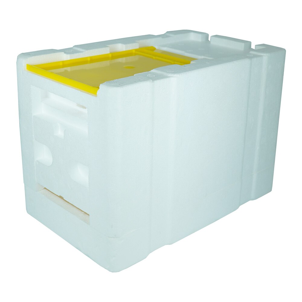 Colmena de apareo de abejas, Mini colmena de apicultura casera, caja de recolección de cría, marcos de espuma de polinización, herramienta de apicultor