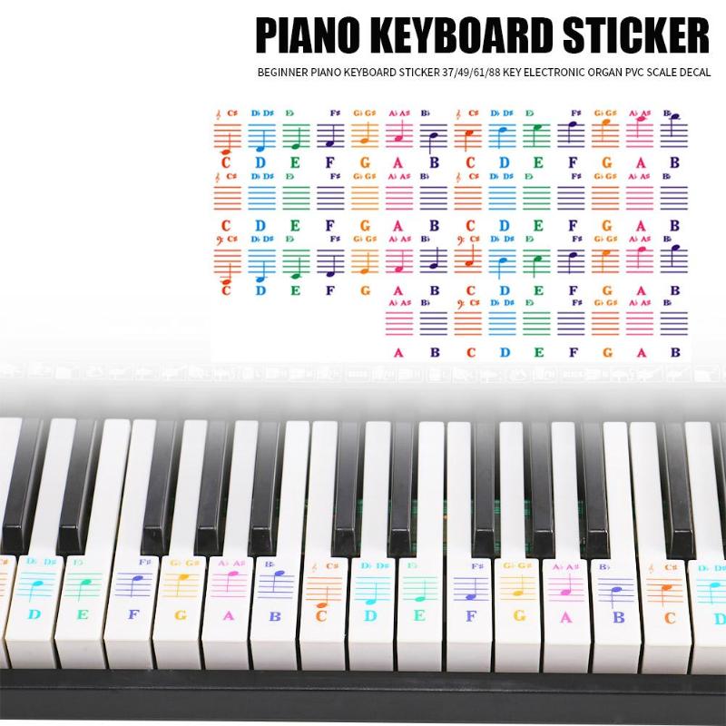 Durable Spectrum Keyboard Stickers Hit Color Transparent 25/49/61/76/88 Key Piano Keyboard Stave Note Sticker for Children