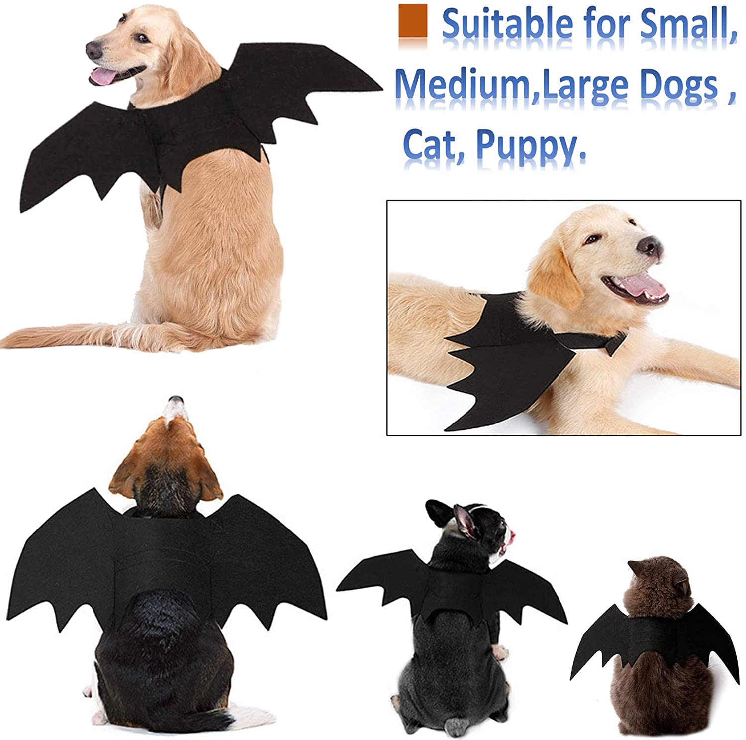 Halloween kattdräkt för katter hundar sällskapsdjur fladdermusvingar katt hund fladdermus kostym vingar (små)klä upp sällskapsdjur tillbehör fest sällskapsdjur kostym
