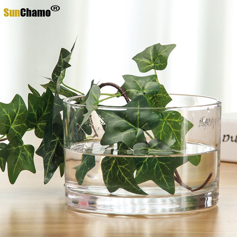 Macetas de vidrio cuadradas pequeñas y transparentes, jarrón y vaso para plantas, 10x10CM