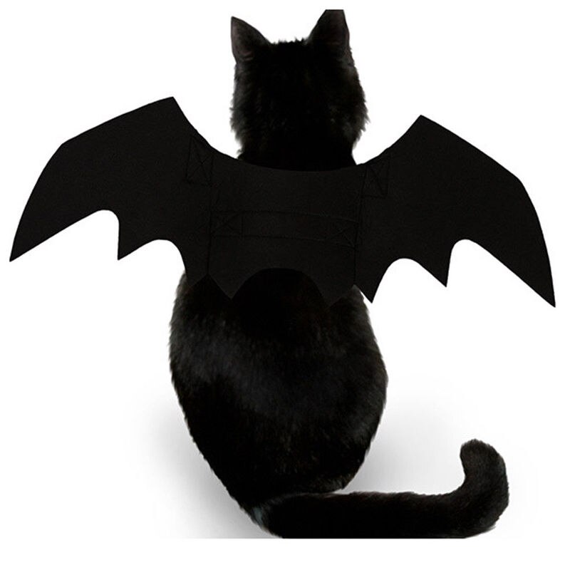 Söpö halloween pienet koirat kissa puku vampyyri pieni lemmikki kissa lepakko siivet halloween kissan siivet asusteet halloween koristeet