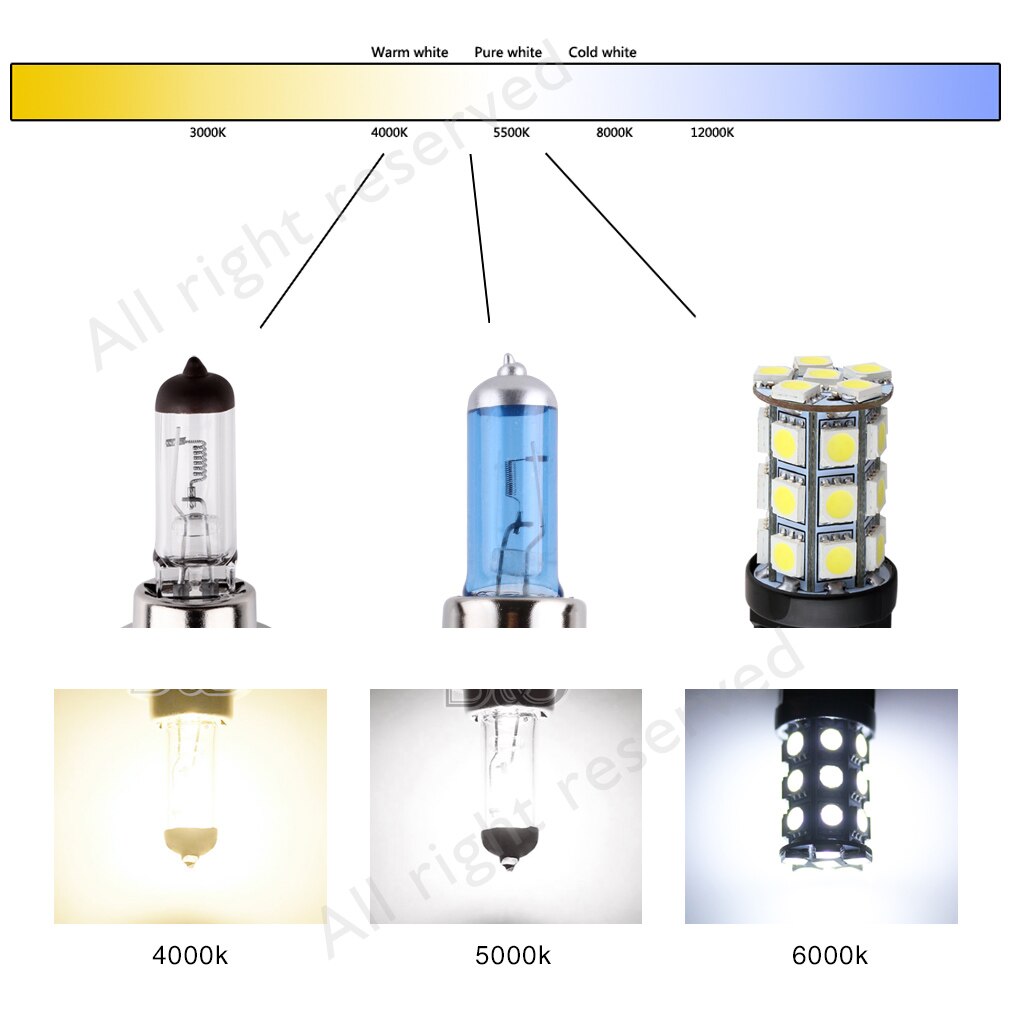 2Stck H4 H11 H7 55W 100W Halogen Scheinwerfer Birne 12V H1 H3 9005 9006 9007 9004 HB3 HB4 HB5 Auto Nebel Licht Weiß Auto Lampe DRL