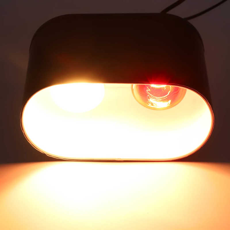Lighting Lamp Set Reptile Pet Double Light Lighting Temperature Control Lamp Red Light 100W White Light 50W Emitter