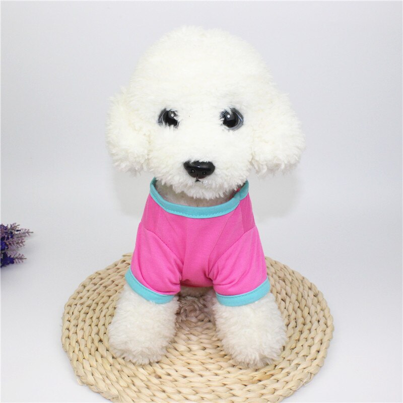 Spring/summer pet clothes Easter egg cat dog clothes.