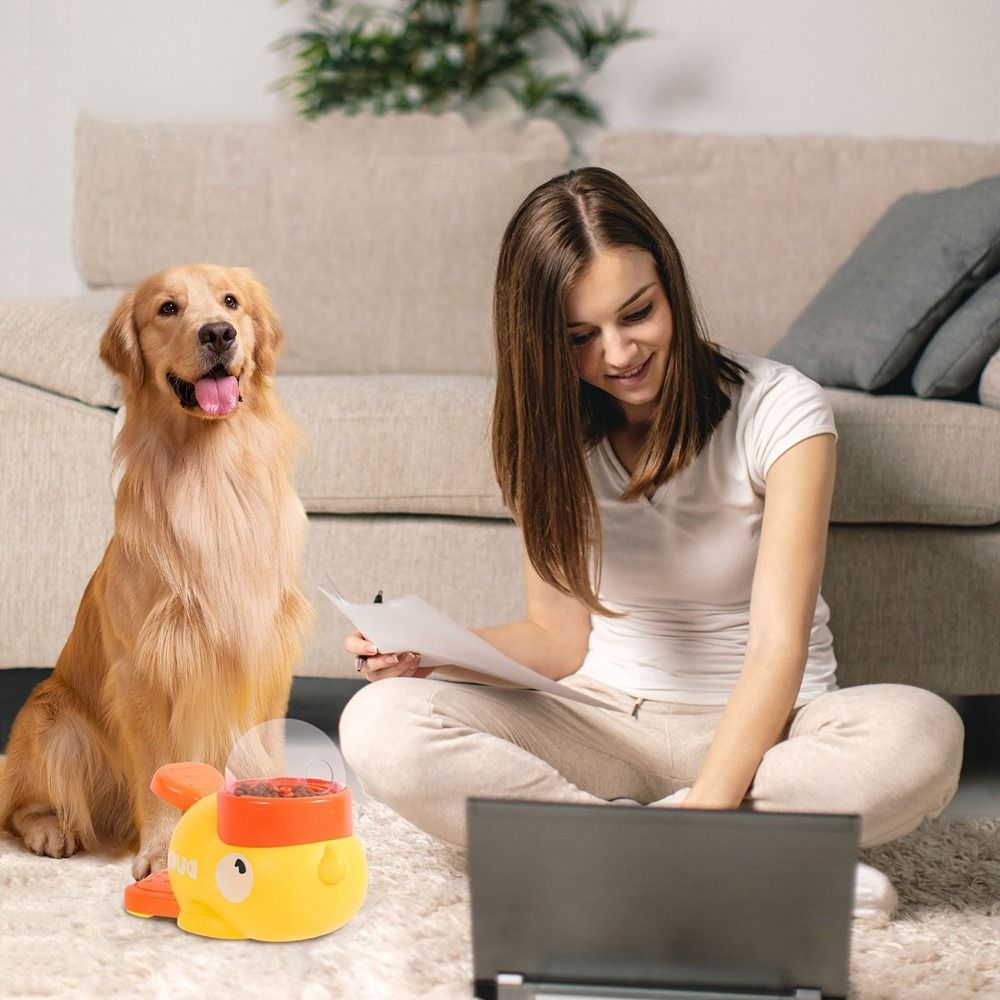 Mangeoire automatique intelligente pour chien, Machine d'alimentation pour animaux de compagnie de grande capacité, antidérapante, jouets, ustensiles alimentaires
