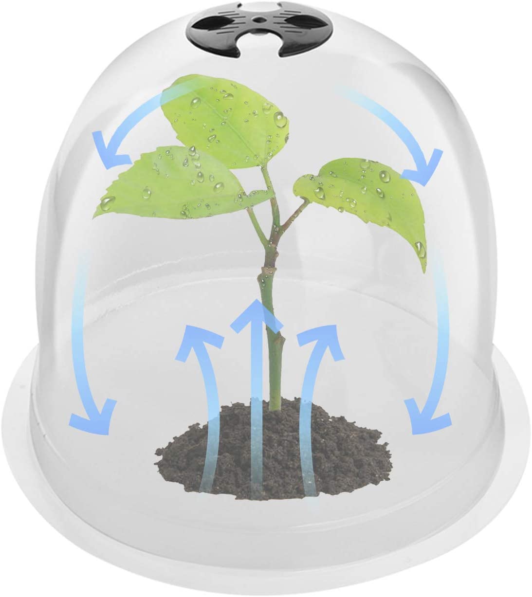 Plant Bell Cover Dome Anti-Freeze Plant Covers Transparent Seedling Insulation Cover Whit Plant Marker Nursery Maintenance Tools