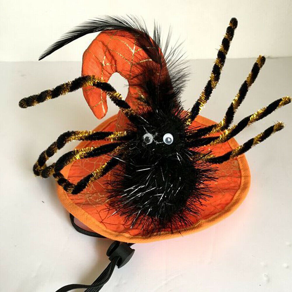 Haustier Halloween Kostümich Spinne Hütte-Hund Katze Hexe Magier Hütte Für Halloween Parteien: Orange Spinne