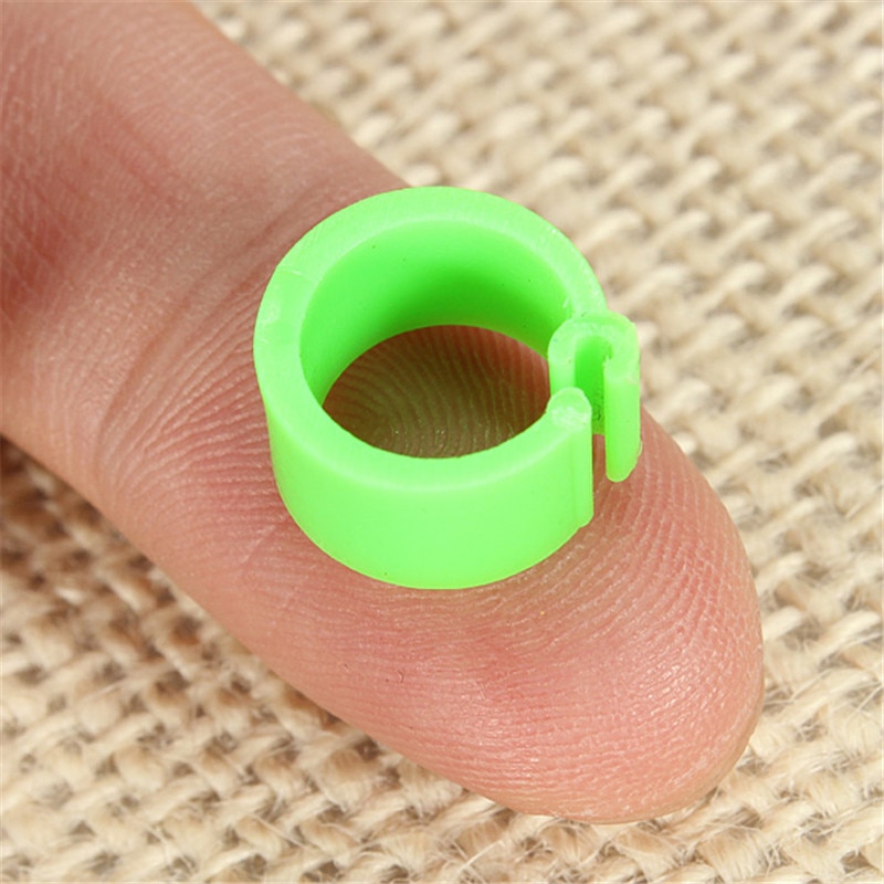 10mm Multicolor Chicken Leg Bands Plastic Chicken Poultry Leg Rings PigeonGeese Quail Bird Ring Carry Tool Feeding Logo 150Pcs