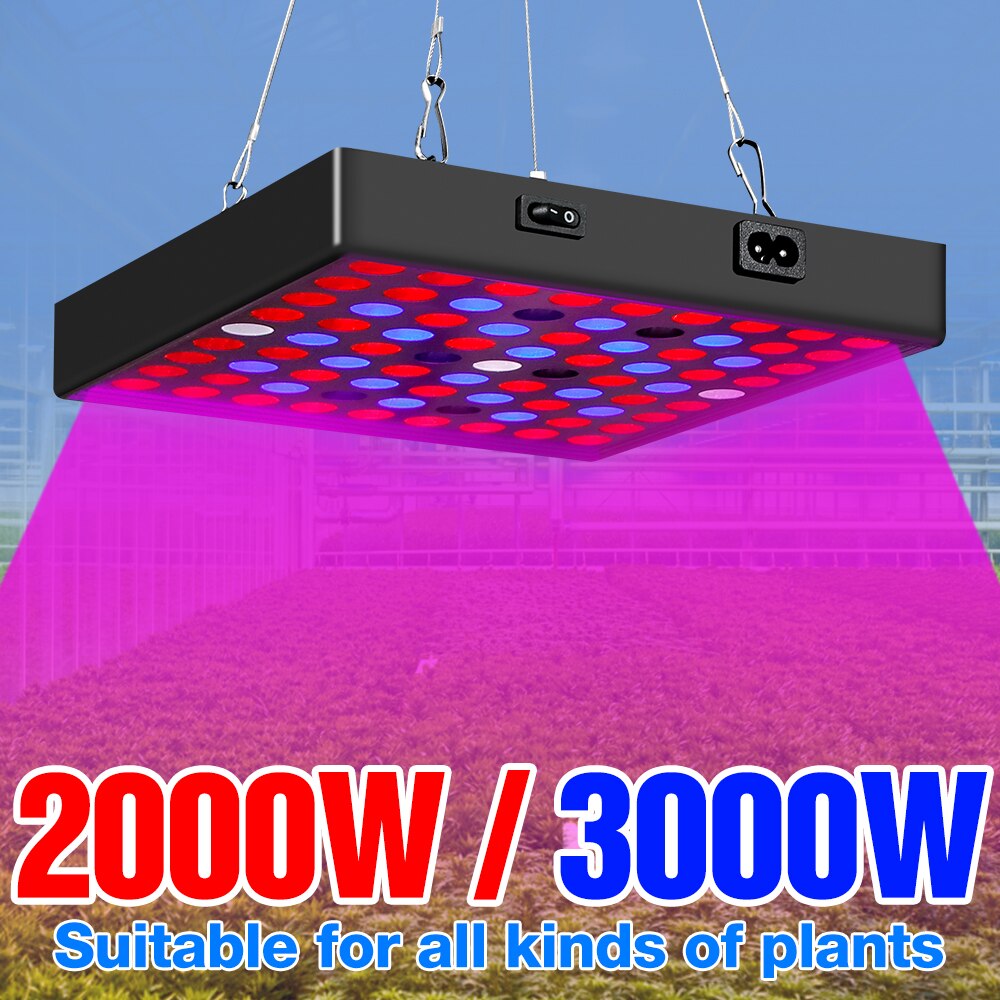 Szklarnia światło robić uprawy roślin płyta ledowy pełny widmo sadzonka Fito lampa 2000W 3000W doprowadziło lampa Fito na namiot robić domowej uprawy roślin ue wtyczka