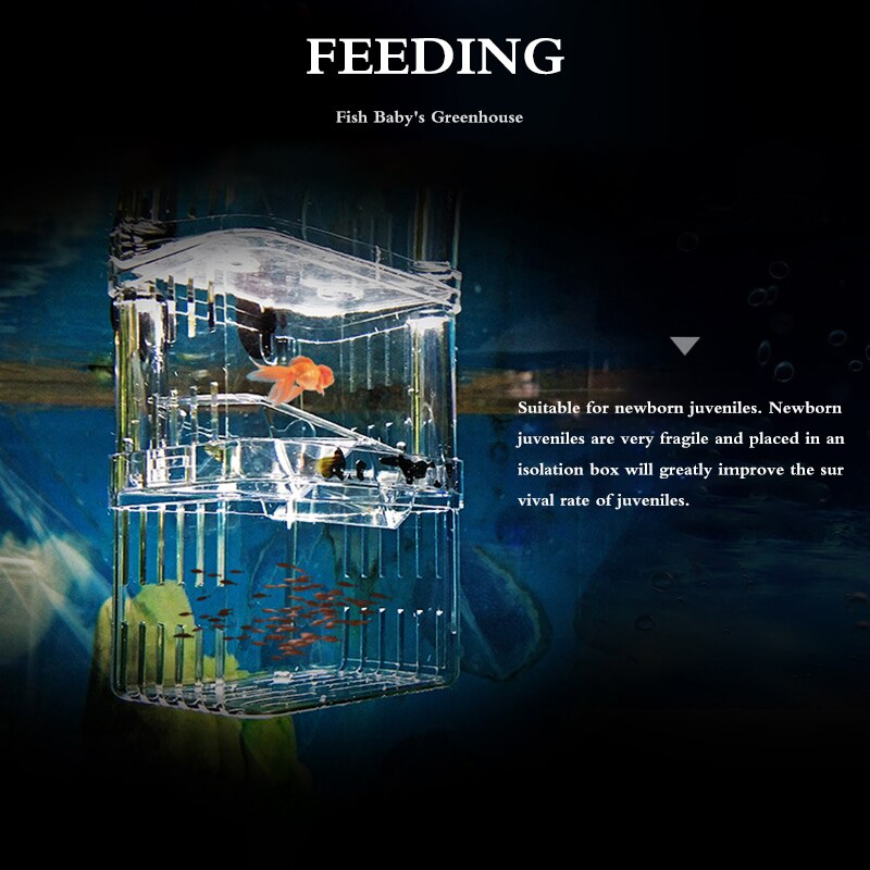 Aquarium Fish Double-Deck Clear Fish Breeding Isolation Box Aquarium Breeder Fish Tank Hatching Incubator Fish House Home