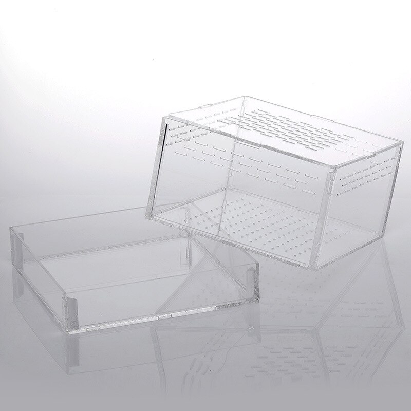 1PCS Feeding Box Living Feed Acrylic Box Barley Insect Box Yellow Mealworm Living Feeding Box