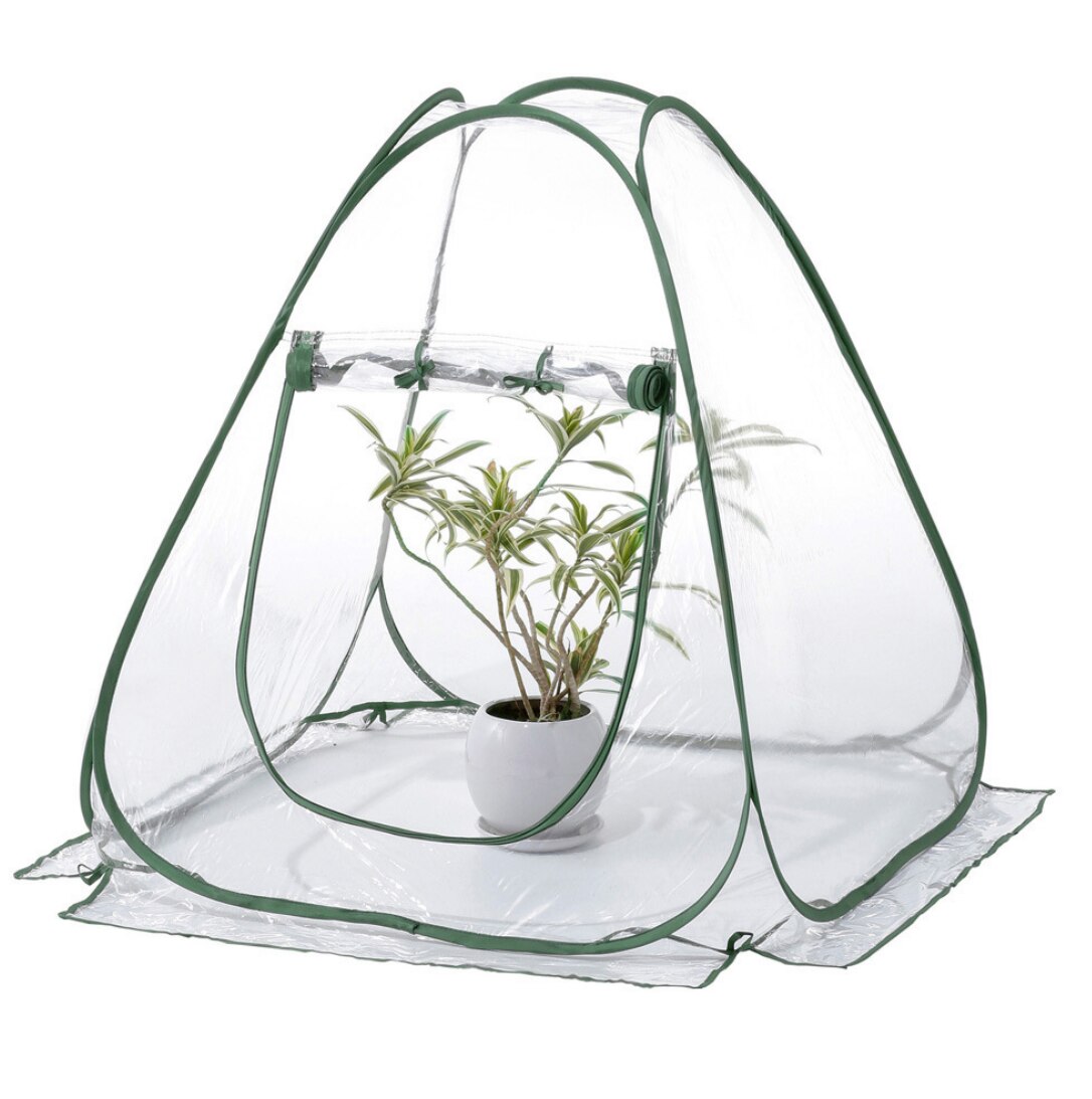 mini składana szklarnia robić domu ogród mały kryty odkryty ogrodnictwo pokrywa podwórko kwiat schronienie namiot narzędzia akcesoria