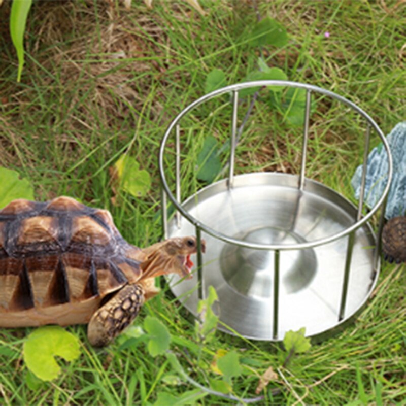 Stainless Steel Reptile Food Bowl Pet Tortoise Lizard Feeder Tray Reptil Drinking Food Water Bowl Dish Feeder Tool