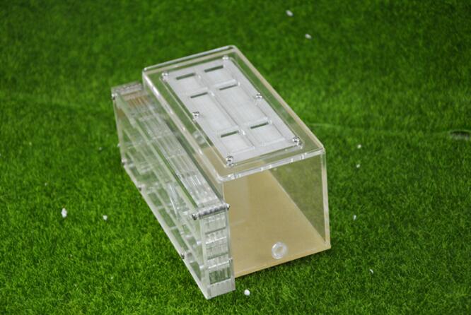 Ant Housing Nest Insect Cage Farms Feed Plastic Acrylic Display Trapezoid Box Ant Villa Nest Building Pet Ant Home Cages