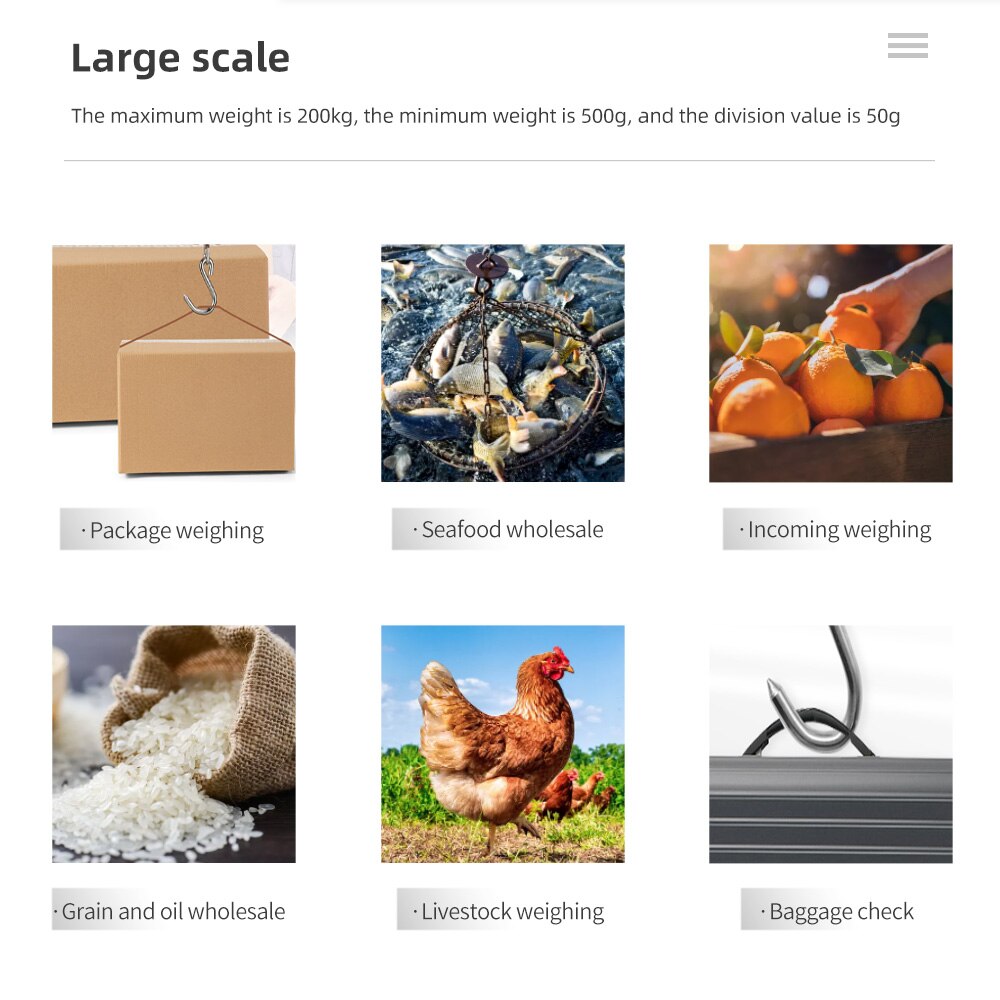 Crane Lifting Scale 200kg/50g Portable Digital Stainless Steel Gram Electric Heavy Duty Steelyard Hook Scale,Kitchen Weight Tool