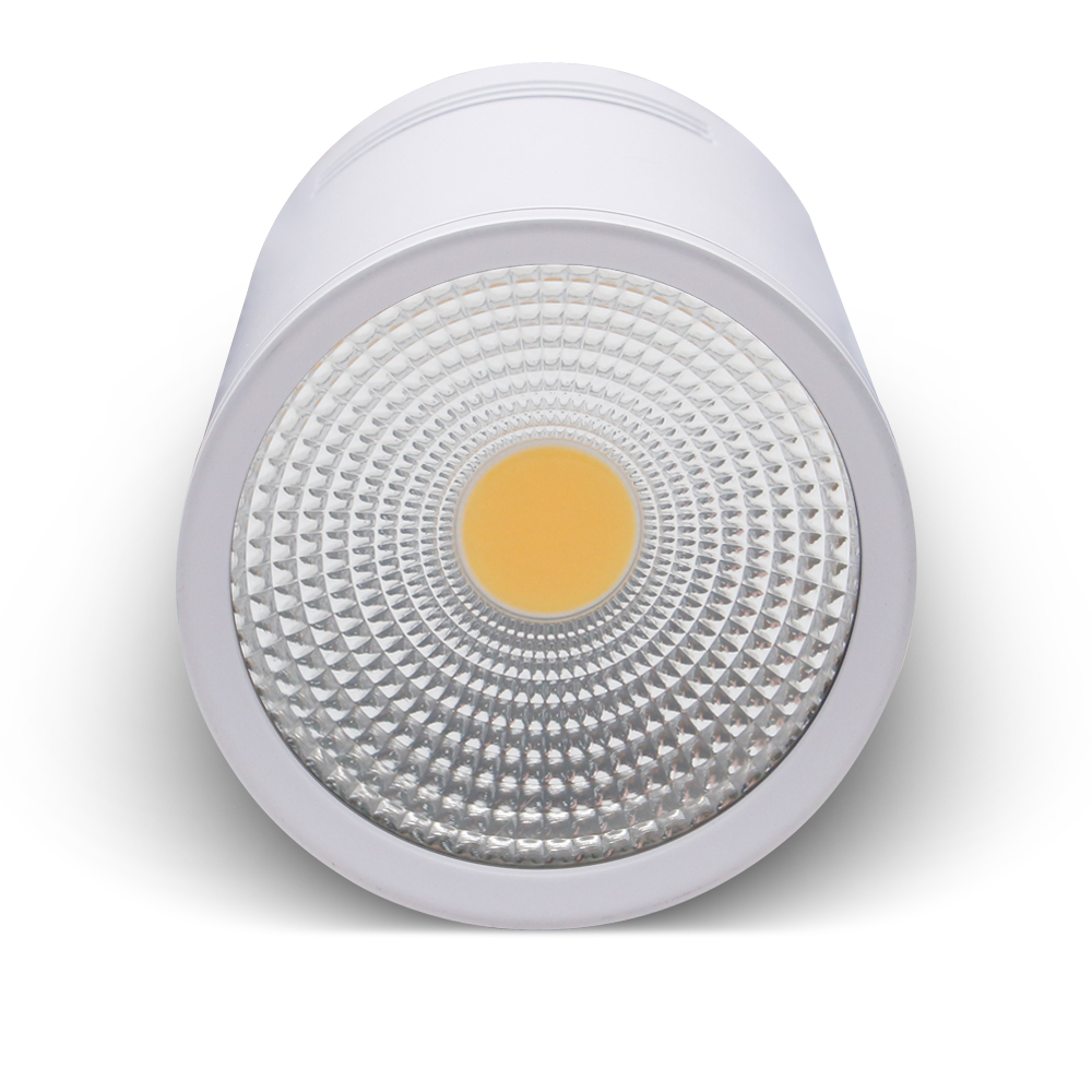 Oppervlak Gemonteerde Led Downlight 3W 5W 7W 10W 15W Plafondlampen Spot Licht AC85-265V Binnenplafond Down Licht Decor Verlichting