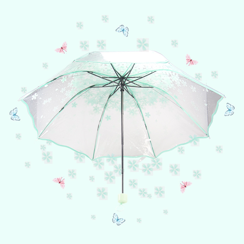 Guarda-chuva feminino apollo flor de cerejeira transparente tri-fold guarda-chuva dobrável feminino coreano japonês flor de cerejeira guarda-chuva feminino