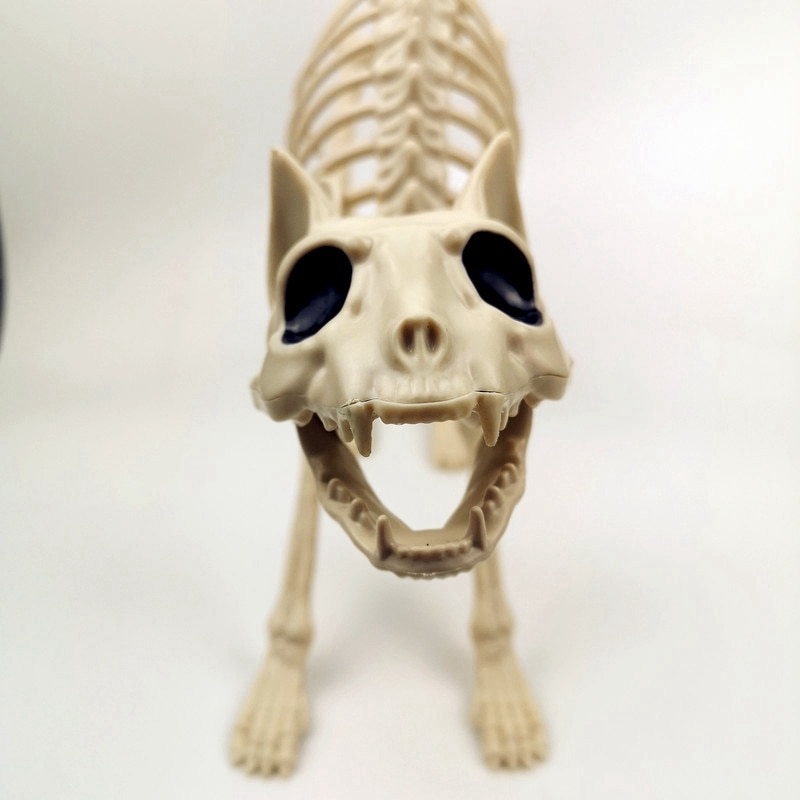 Halloween Decoratie Bone Props Dieren Skelet Ornament Botten Hallowmas Horror House Party Decoratie