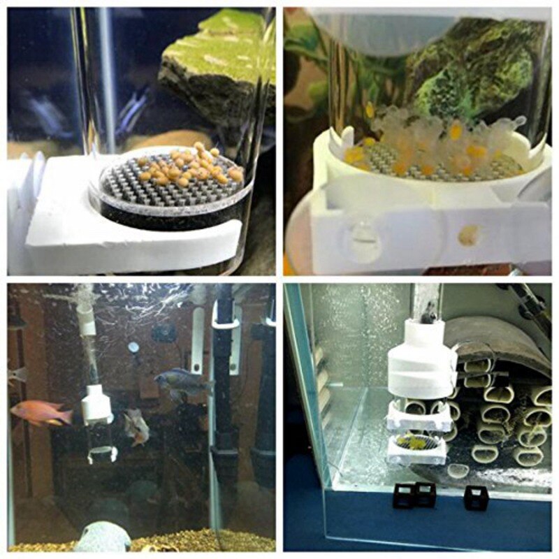 Fish Egg Incubator Tumbler Aquarium Fish Farming Cichlid Breeder Incubator Tumbler Fish Hatcher With Adjustable Air Device