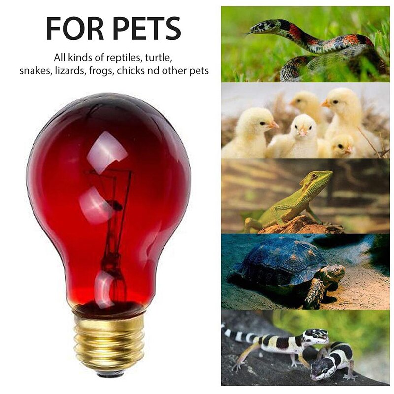 220-240V 25/50/75/100W Incandescent Bulb Night Red Heat Impact Resistant Safe UVA Night Light Daytime Lamp Bulb PT-25220RERIN