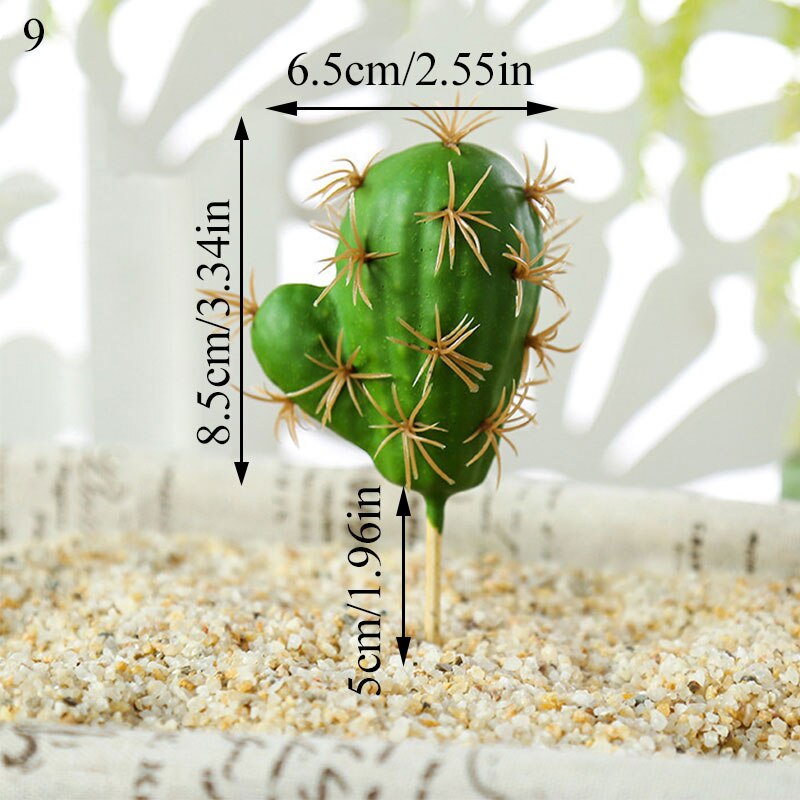 Graines de graines pour Aquarium, plante aquatique, graines faciles, Aquarium, aménagement paysager: 9