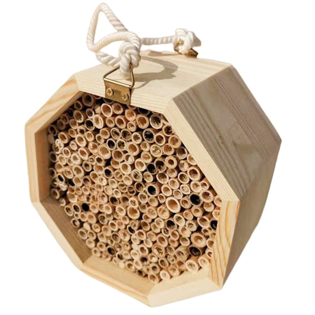 Bee House Handmade Natural Wood Bee Hive Beekeeping Equipment Beekeeping Supplies Bee Hive Pollination House