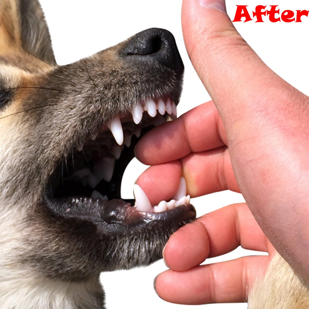 Hond Molaire Stok Huisdier Interactieve Training Hond Speelgoed Gebitsreiniging Grote Hond Speelgoed Voor Golden Retriever Honden Funny Speelgoed