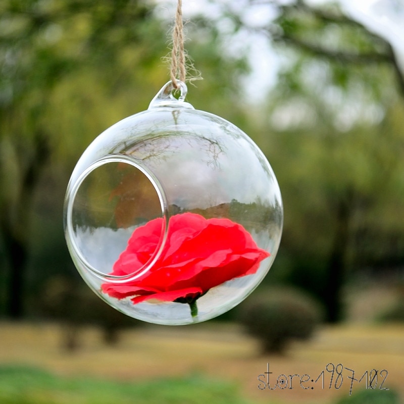 Globe transparent en verre rond à suspendre en 6/8/10cm, 8 pièces, Terrariums à plantes, boules de fleurs, Vase de fleurs pour décorations de mariage, à monter soi-même